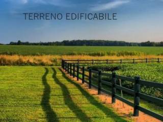 Terreno agricolo in vendita a erbusco 