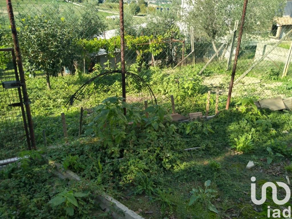 immagine annuncio 9 di 14