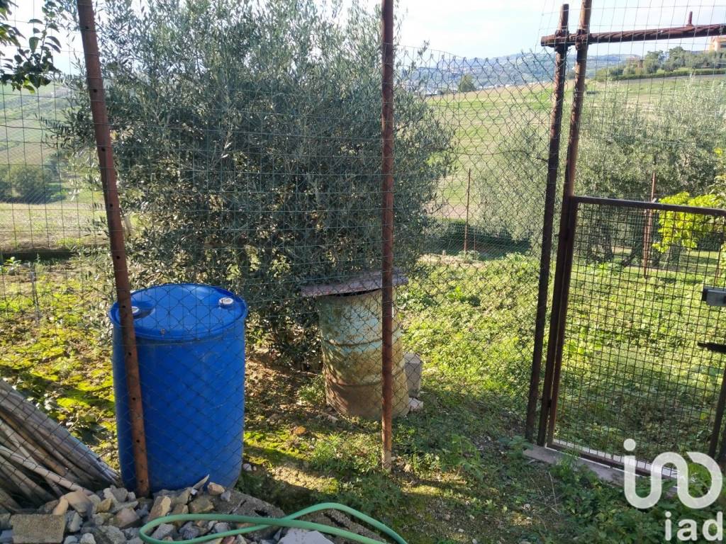 immagine annuncio 10 di 14