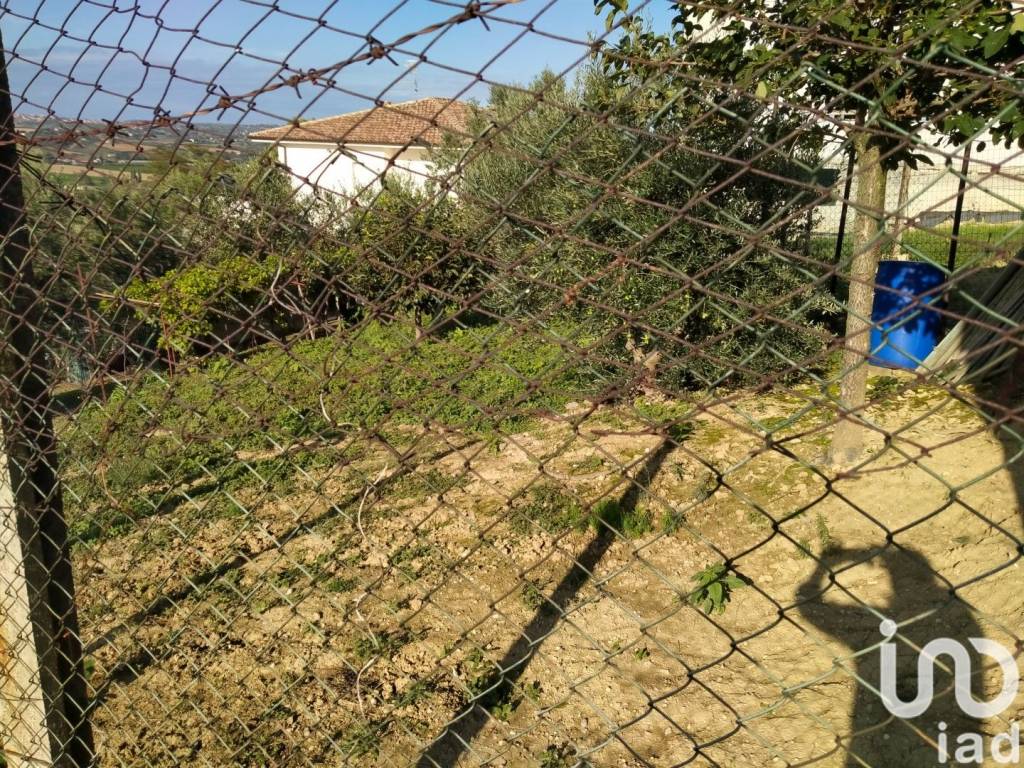 immagine annuncio 11 di 14