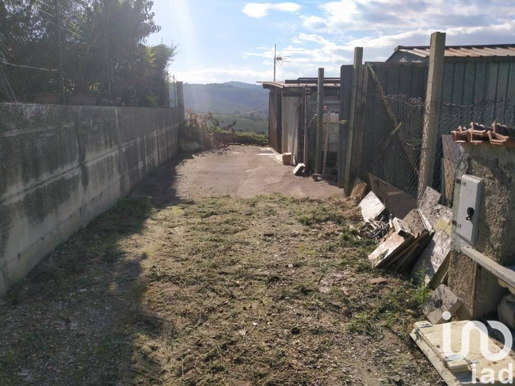 immagine annuncio 12 di 14