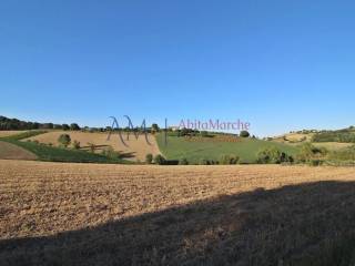 Terreno agricolo in vendita a servigliano contrada commenda s.n.c.