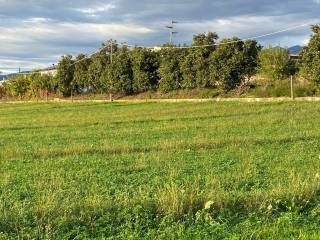 Terreno agricolo in vendita a pescantina via la bella