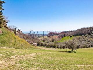 Terreno agricolo in vendita a montefiore dell'aso via gentile da montefiore s.n.c.