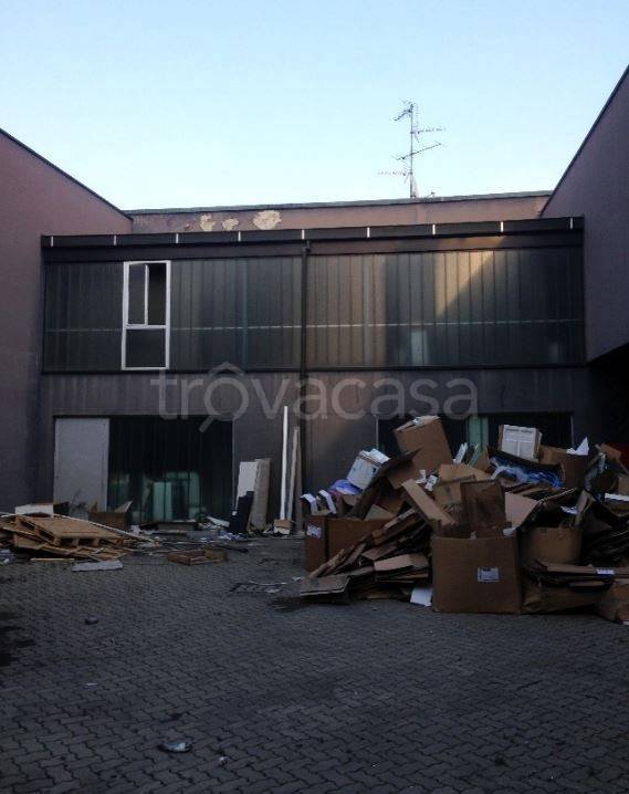 immagine annuncio 9 di 14