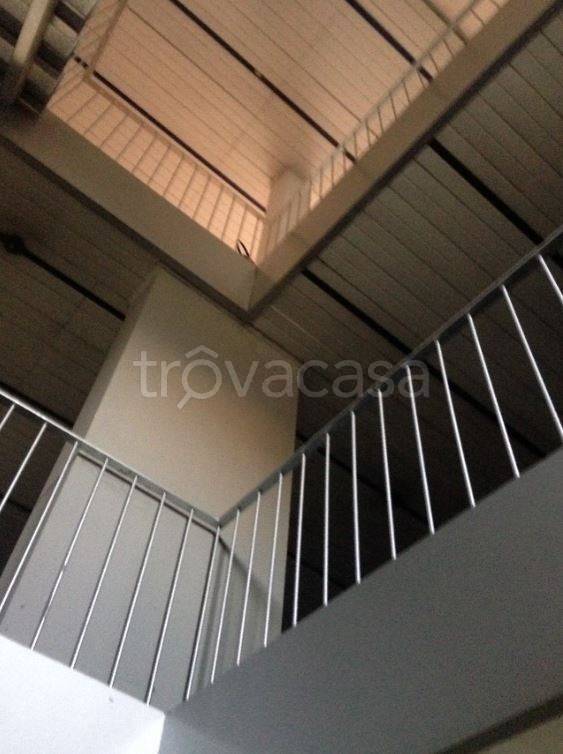 immagine annuncio 11 di 14
