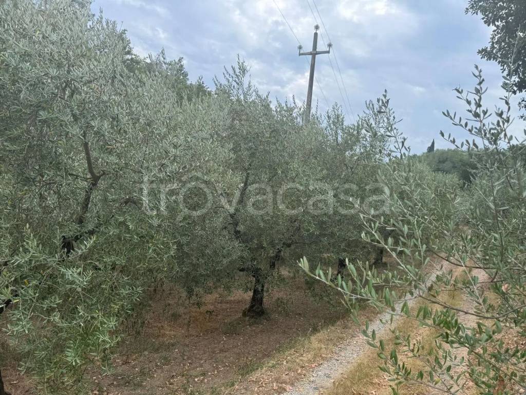 immagine annuncio 3 di 4