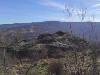 Terreno agricolo all'asta a vetto sp57