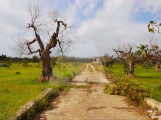 Terreno agricolo in vendita a gagliano del capo strada provinciale lecce santa maria di leuca