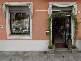 Piante e fiori in in affitto da privato a verbania via paolo troubetzkoy, 70