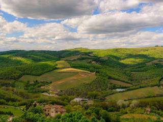 Colonica in vendita a radda in chianti via pozzo dei birri, 1