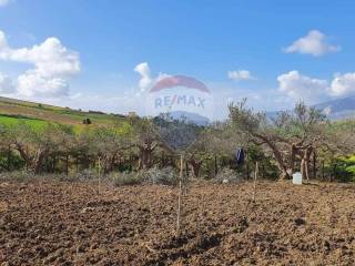 Terreno residenziale in vendita a erice lenzi tanci