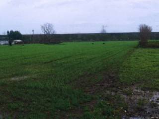 Terreno agricolo in vendita a santa maria capua vetere via italia, 13