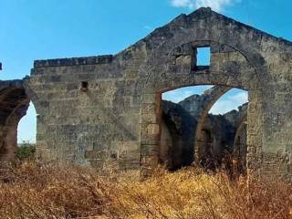 Terreno agricolo in vendita a gravina in puglia contrada barisci s.n.c.