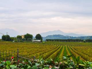 Appartamento in vendita a castelnuovo del garda 