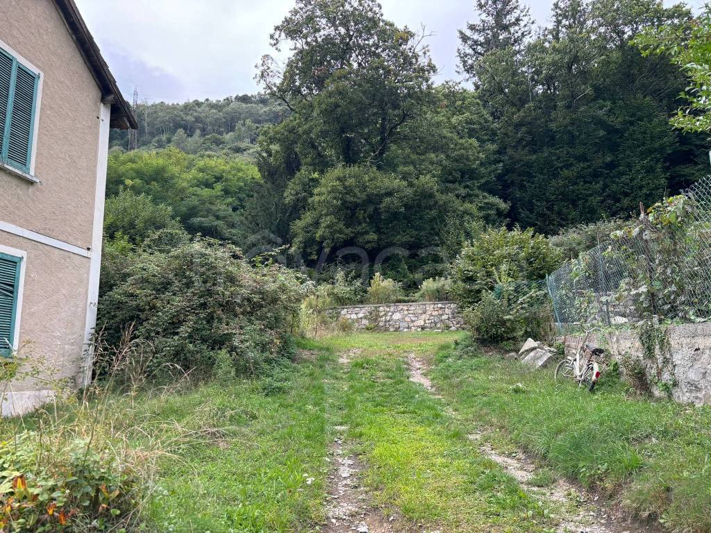 immagine annuncio 2 di 14