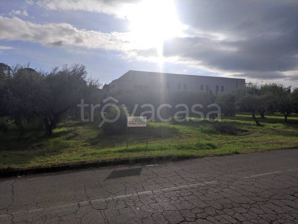 immagine annuncio 2 di 11