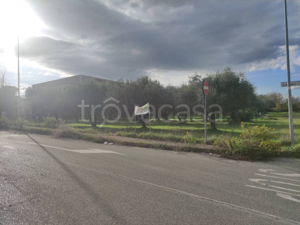 immagine annuncio 5 di 11