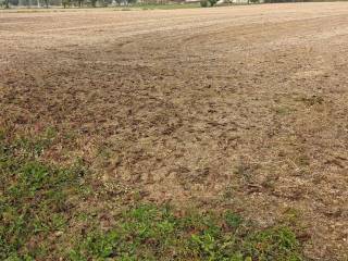 Terreno agricolo in vendita a isola vicentina 