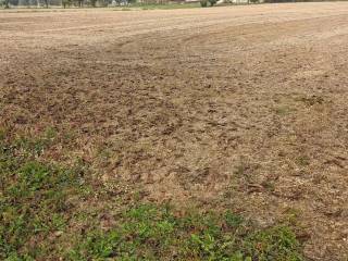 Terreno agricolo in vendita a caldogno 