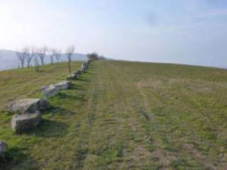 Terreno agricolo in vendita a scandiano via pianderna