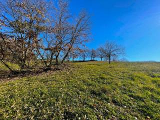 Terreno agricolo in vendita a canale monterano 