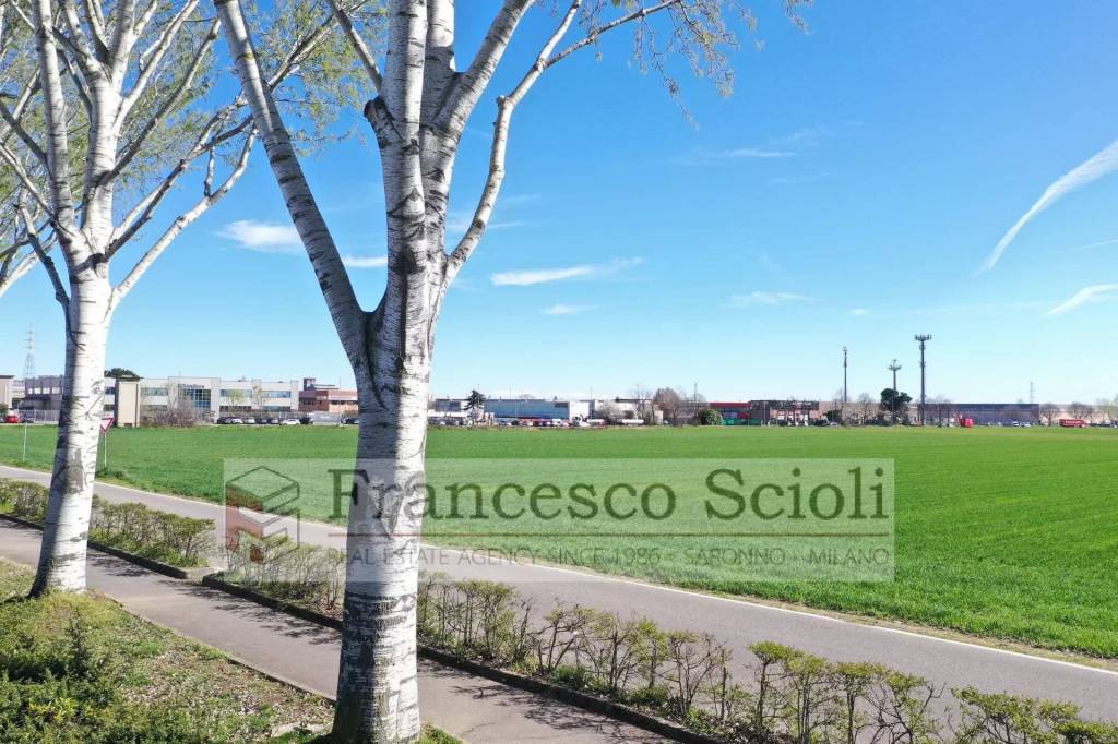 immagine annuncio 6 di 7