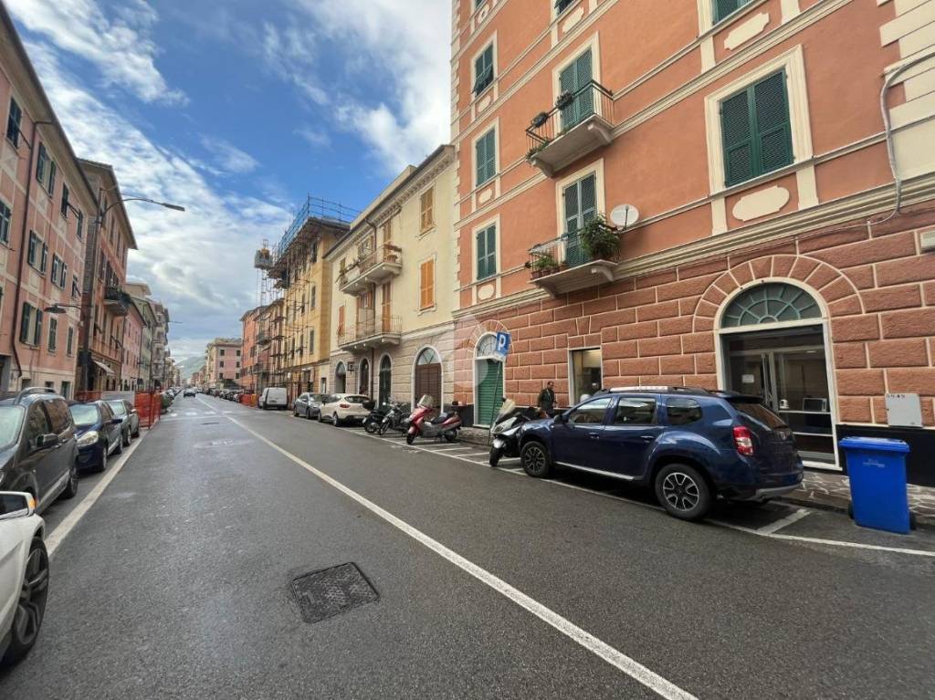 immagine annuncio 9 di 14