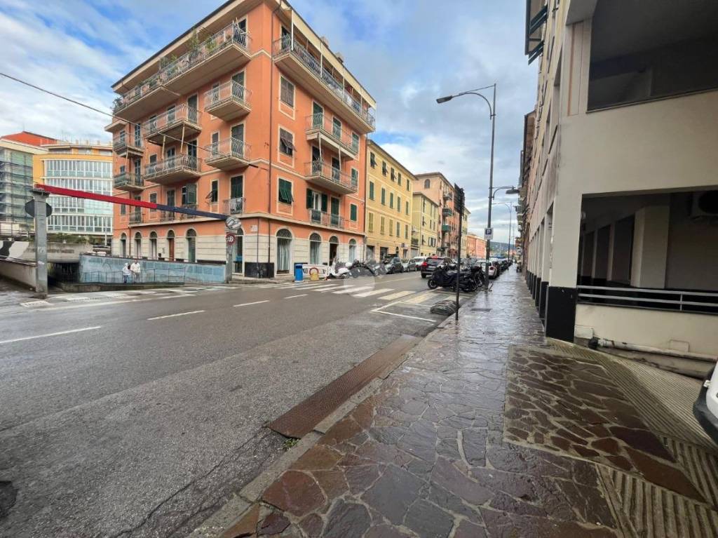 immagine annuncio 12 di 14