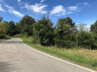 Terreno agricolo in vendita a lauriano via al mondo