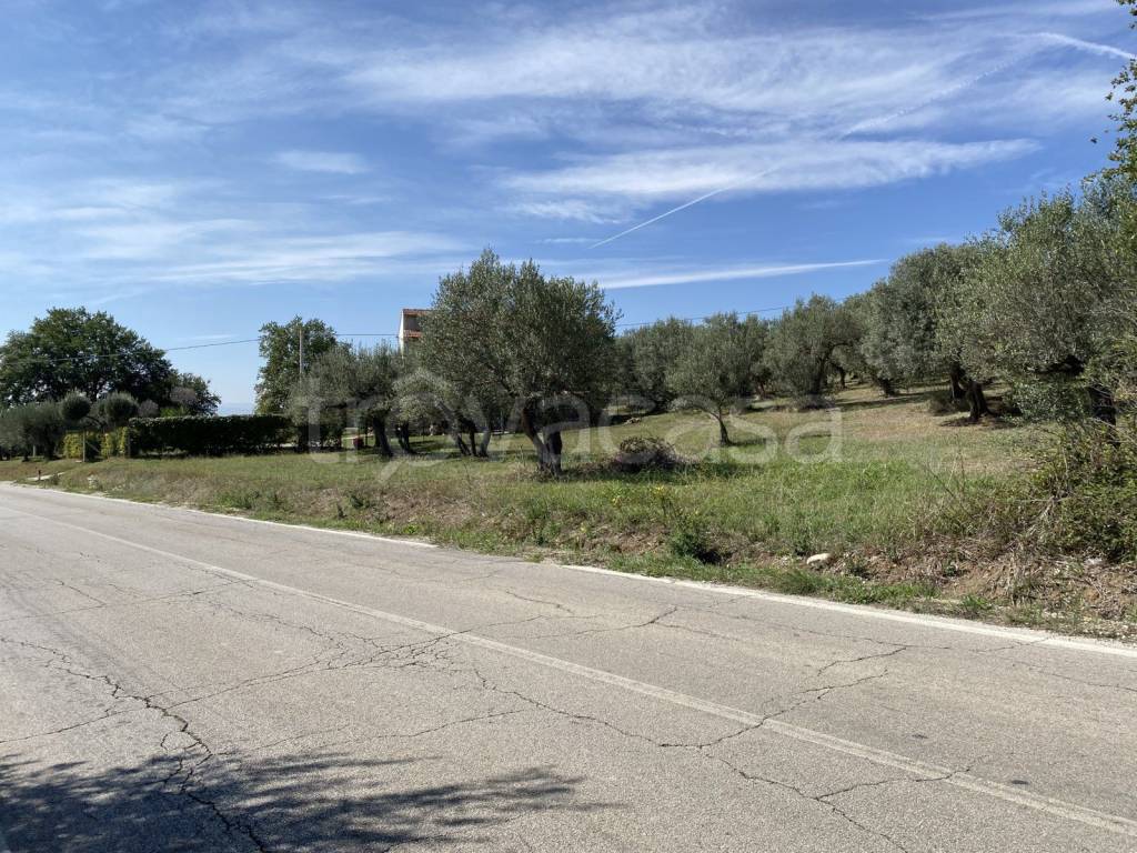 immagine annuncio 10 di 15