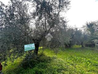 Terreno agricolo in vendita a selci via tenerello, 24