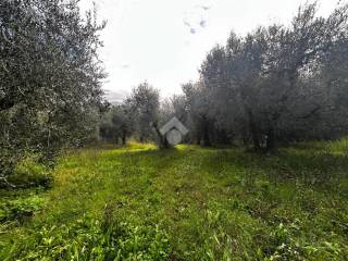 Terreno agricolo in vendita a selci via tenerello, 24