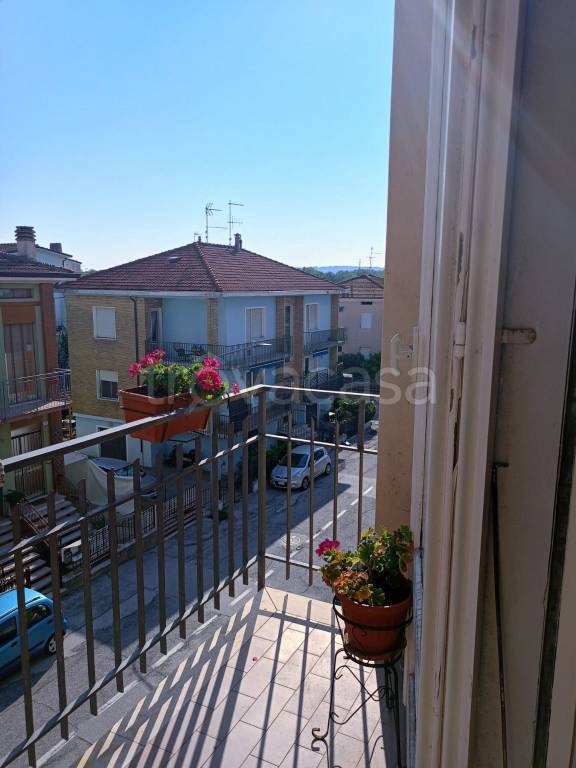 immagine annuncio 11 di 14