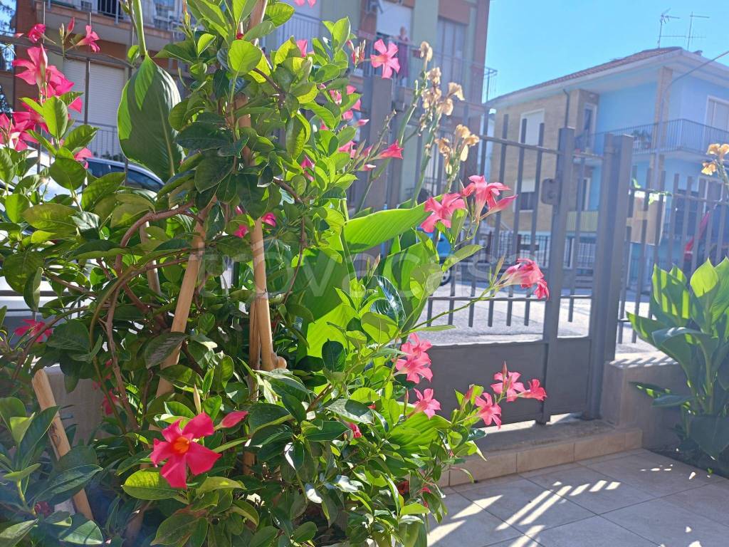 immagine annuncio 1 di 14