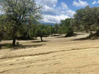 Terreno agricolo in vendita a benestare sp75