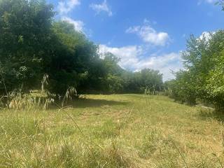 Terreno agricolo in vendita a poggibonsi via sangallo