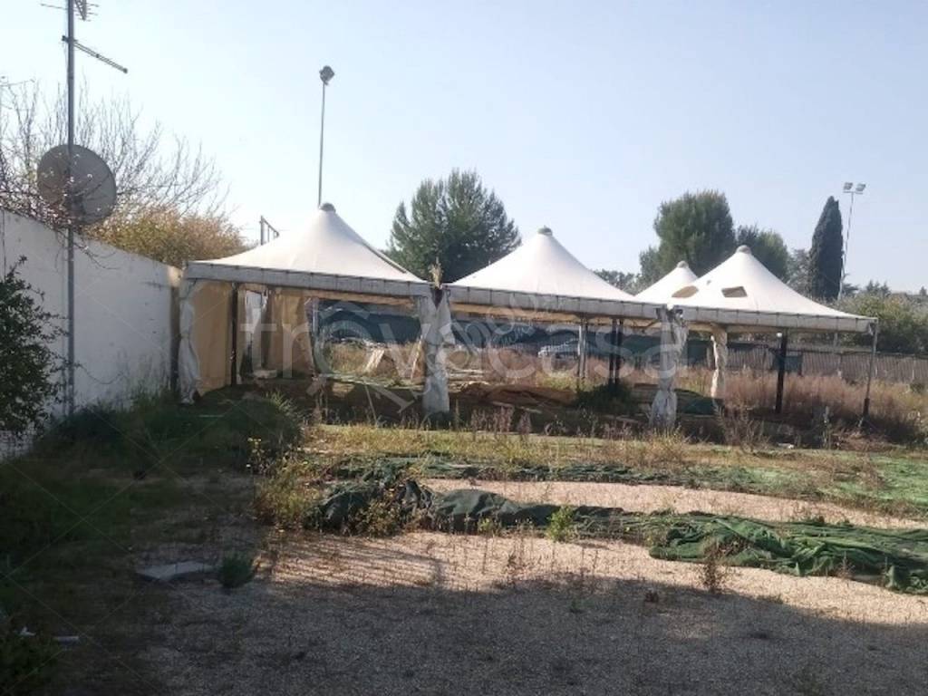 immagine annuncio 2 di 6