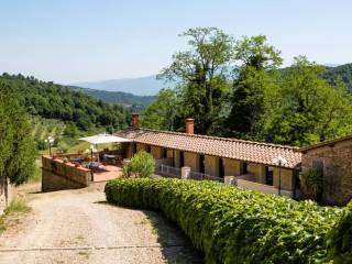 Consorzio agrario in vendita a greve in chianti 