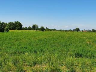 Terreno agricolo in vendita a bibbiano 