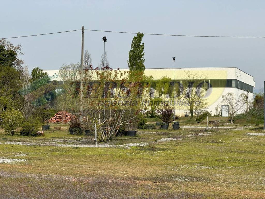 immagine annuncio 3 di 8