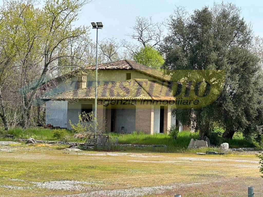 immagine annuncio 7 di 8