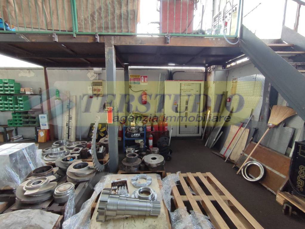 immagine annuncio 5 di 15