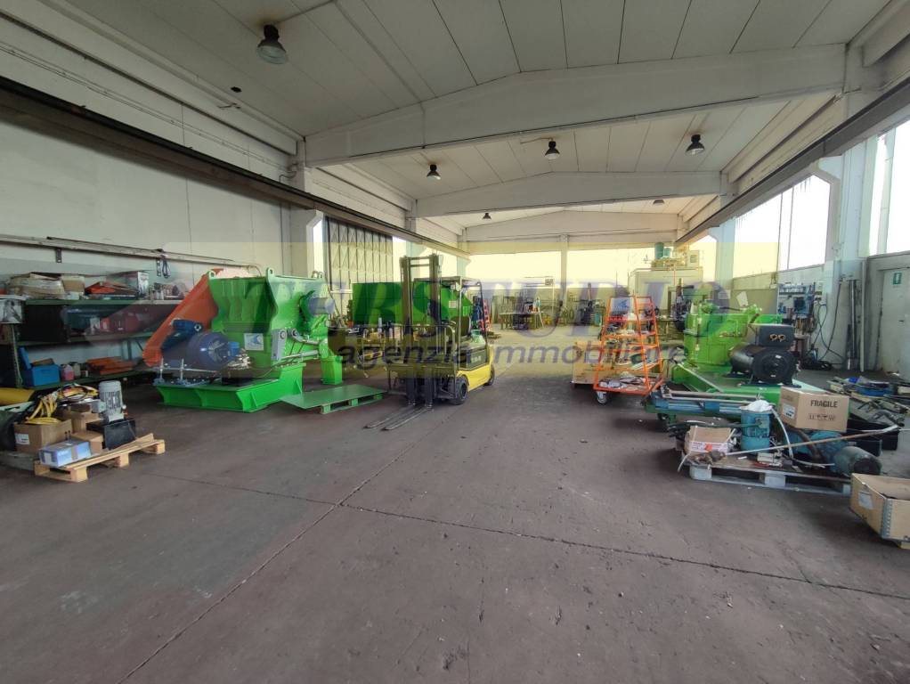 immagine annuncio 6 di 15