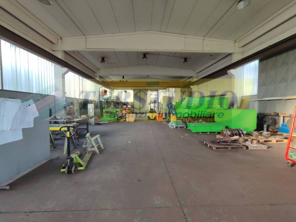 immagine annuncio 9 di 15