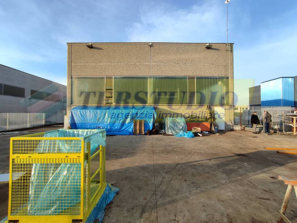 immagine annuncio 11 di 15