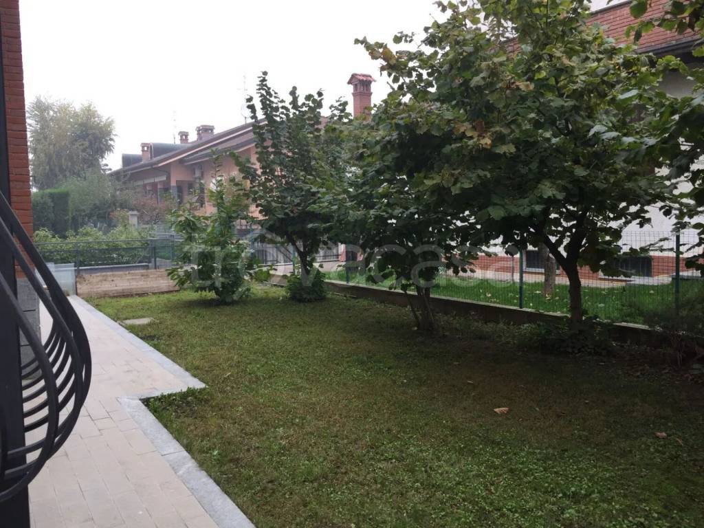 immagine annuncio 4 di 11