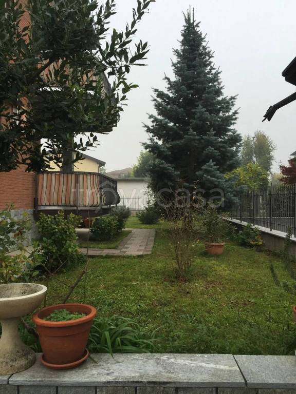 immagine annuncio 5 di 11