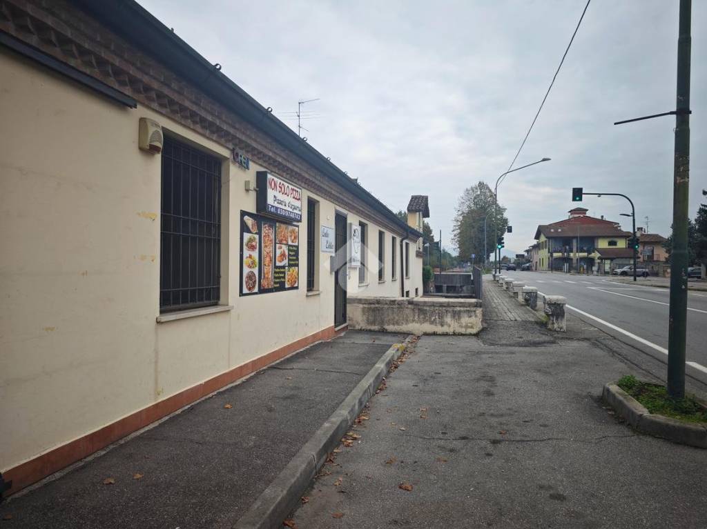 immagine annuncio 6 di 15