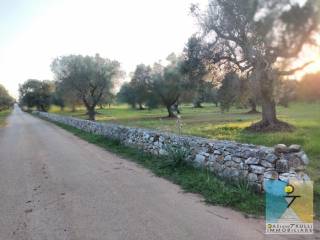 Terreno residenziale in vendita a san vito dei normanni contrada monte